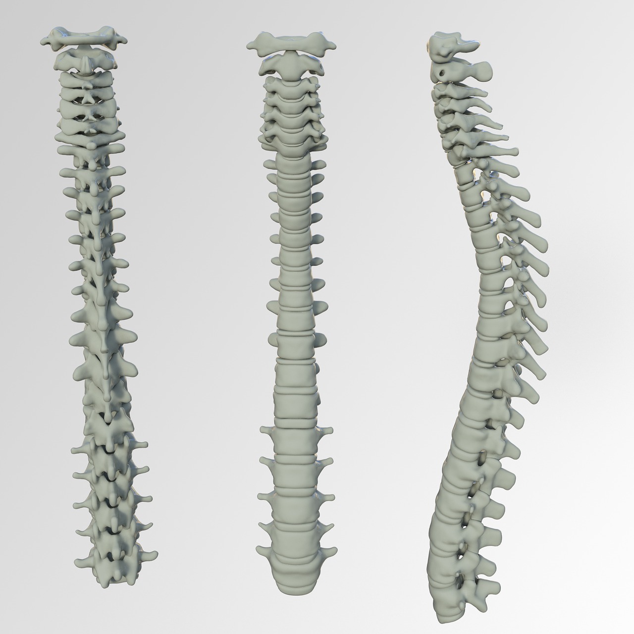Spinal Screenings Columbus GA
